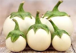 20 Japanese white sweet eggplant vegetable plant seeds flowers rare colorful fa