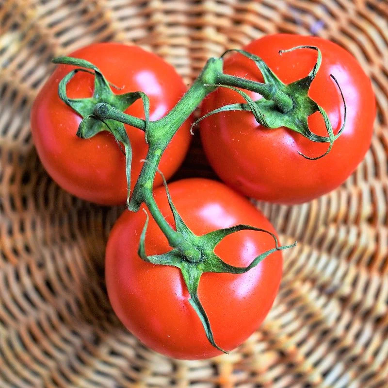 Rutgers Tomato Seeds | New Jersey Best Flavor Heirloom Fruit Vegetable Seed 2024