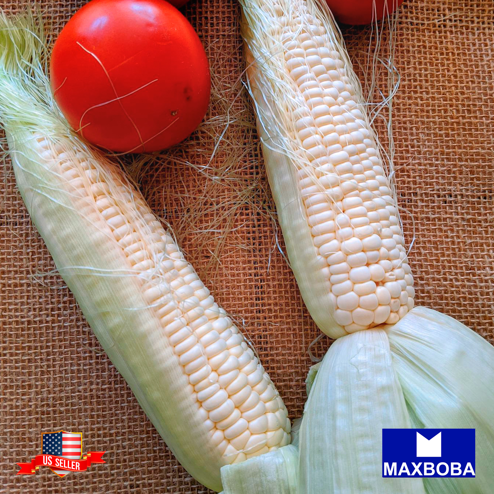 Corn Seeds – Truckers Favorite White Non-GMO / Heirloom / Vegetable Garden Fresh