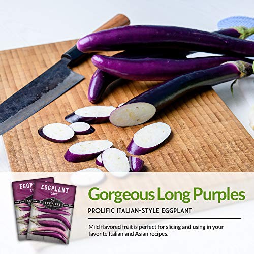 Long Purple Eggplant Seeds for Planting – Asian Eggplant Variety with Slender 1