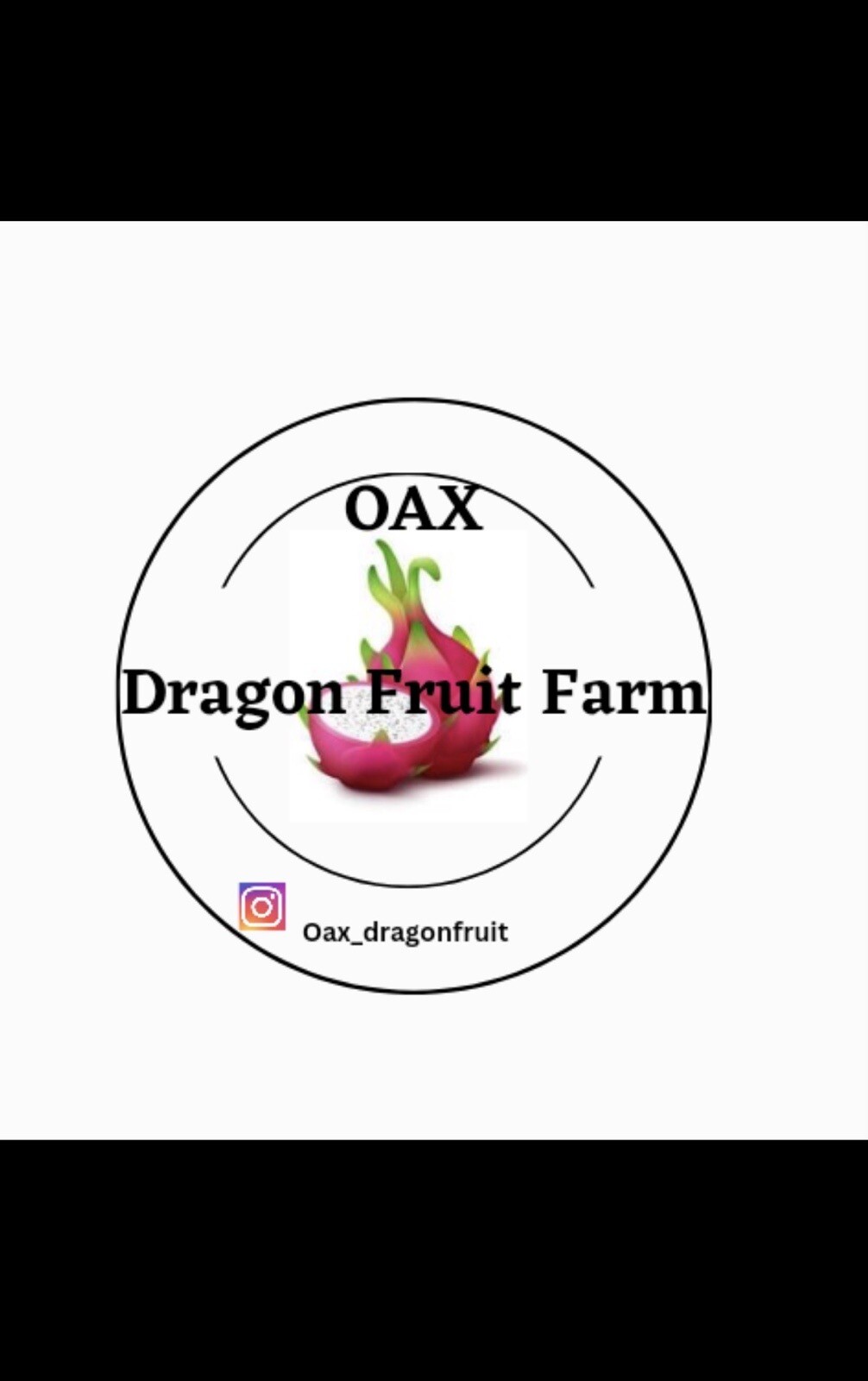 Mature “DIEGO’S DK SEEDLING” Dragon Fruit Cuttings