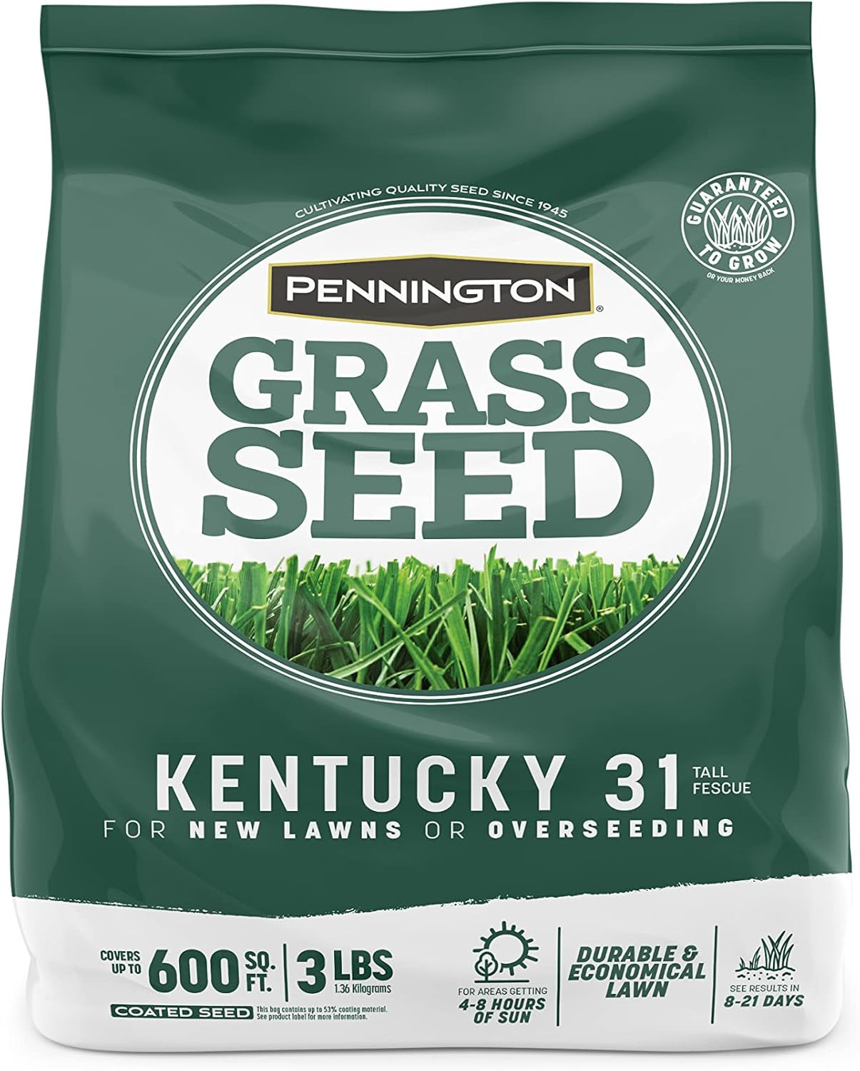 Kentucky 31 Tall Fescue Penkoted Grass Seed 3 lb