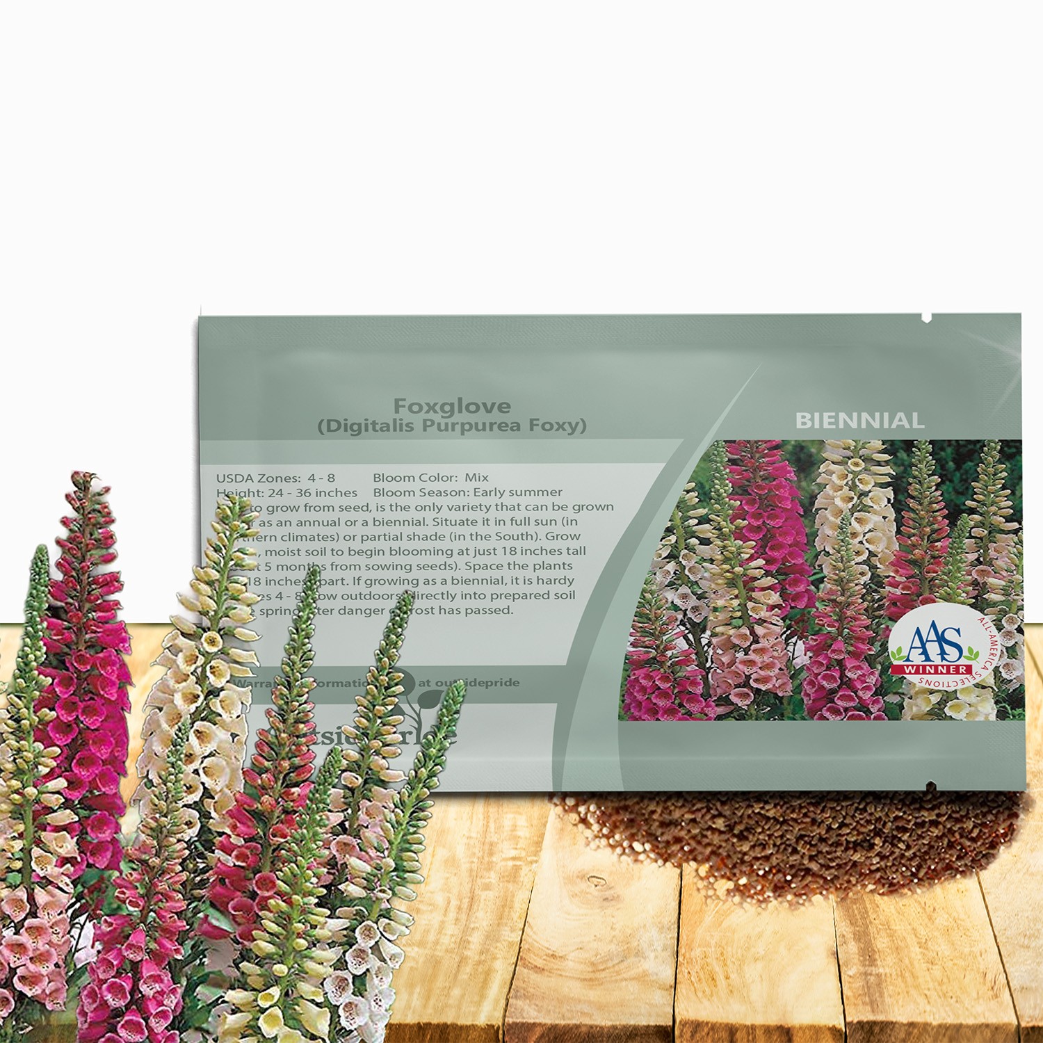 10000 Seeds Digitalis Purpurea Foxglove Foxy Wildflower Seed – AAS Winner