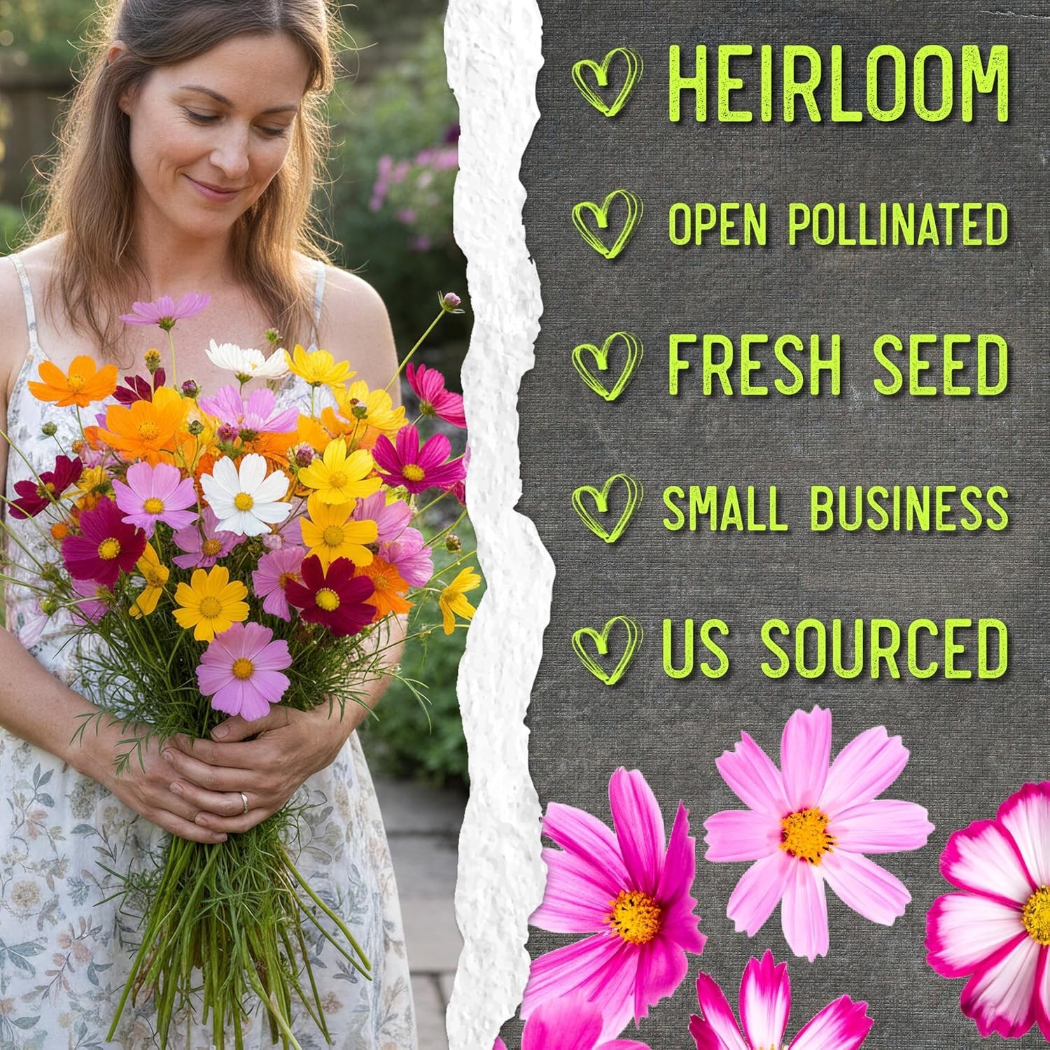 Crazy Cosmos Mix – 10+ Open Pollinated Flower Seed Varieties for Vibrant Gardens