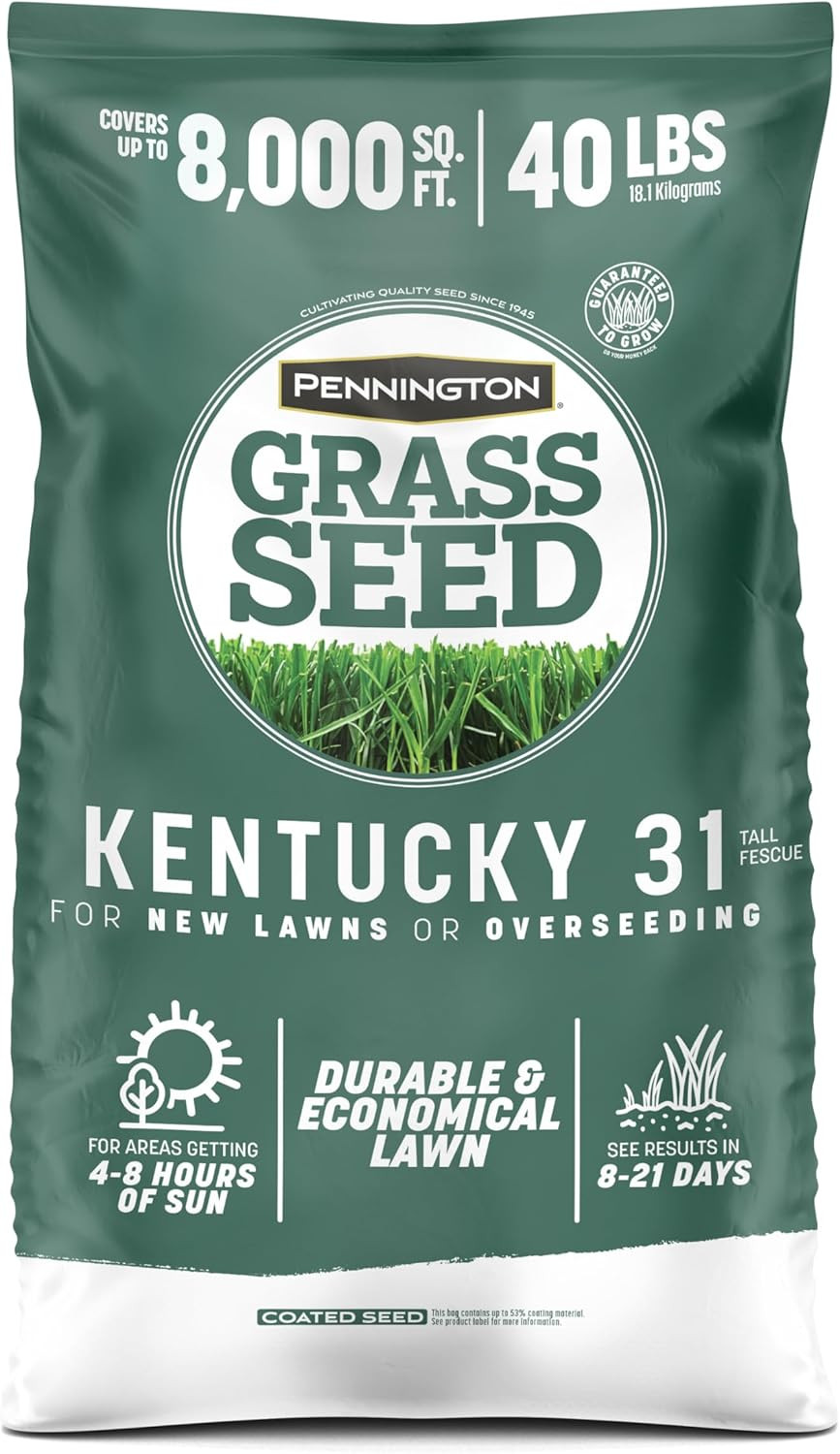 Pennington Kentucky 31 Fescue 40 LB Tall Fescue Grass Seed, Grass Seeds for Lawn