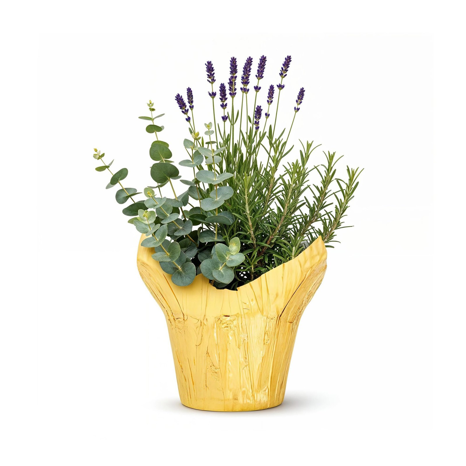 Live Aromatic and Healthy Herb Combo in Deco Cover – Air Purifier, Combo Incl…