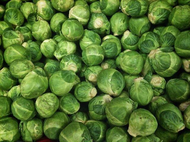 Brussel Sprouts, Long Island Improved 100 – 125 NON – GMO Seeds Heirloom