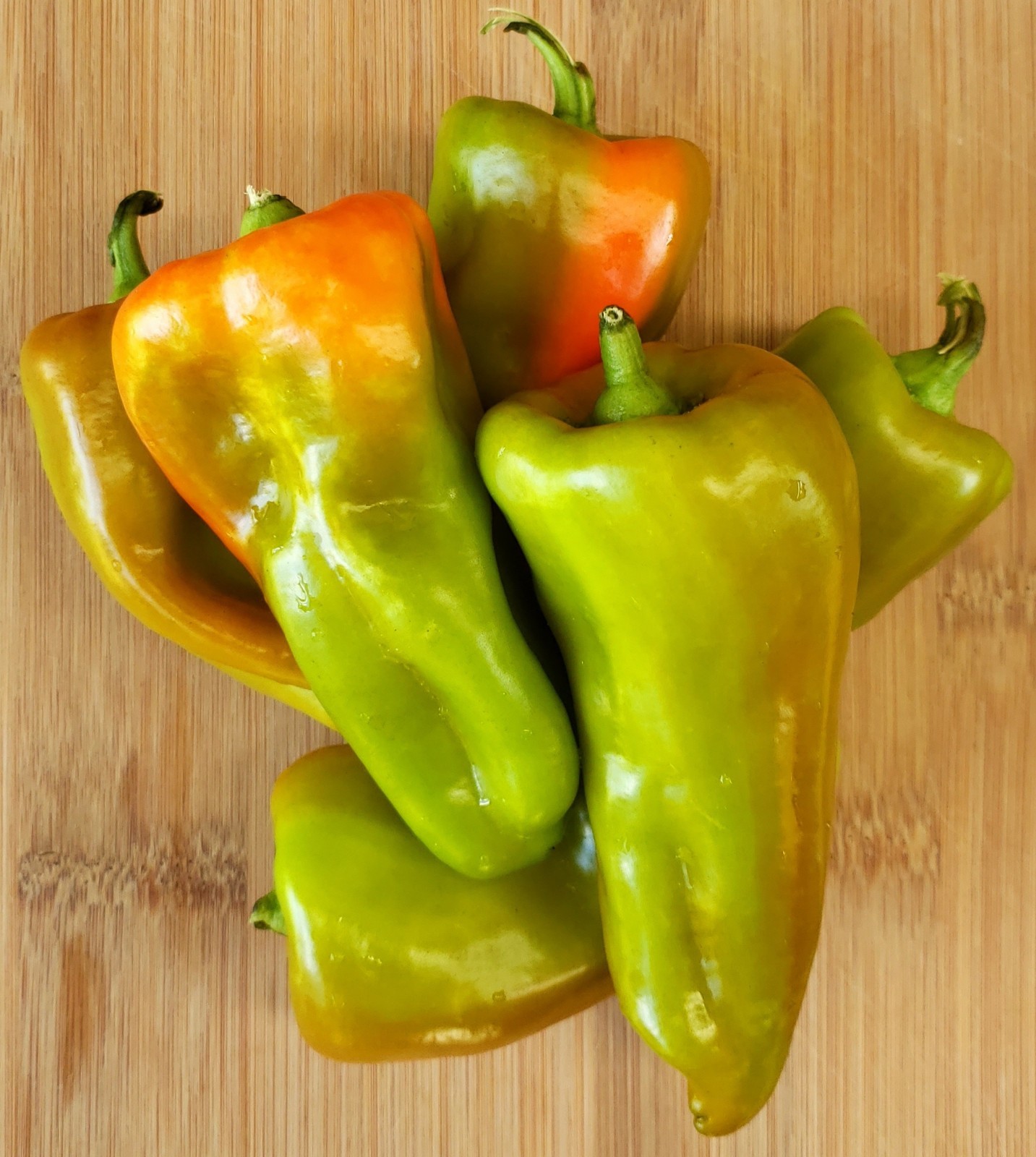 SEEDS Sweet Cubanelle Pepper 100 Seeds Pimiento de Cocinar