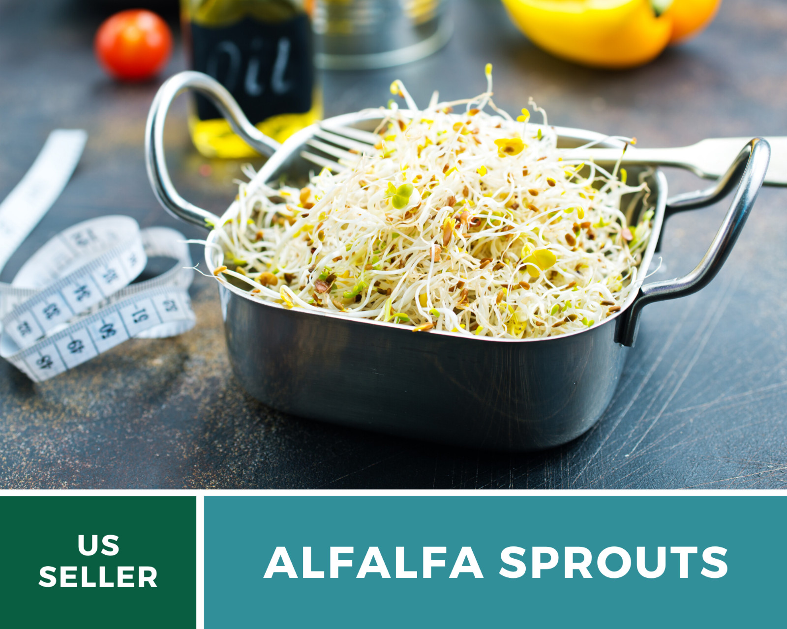 Sprout, Alfalfa – 500 Seeds – Grow All Year – NonGMO – Nutrient Dense