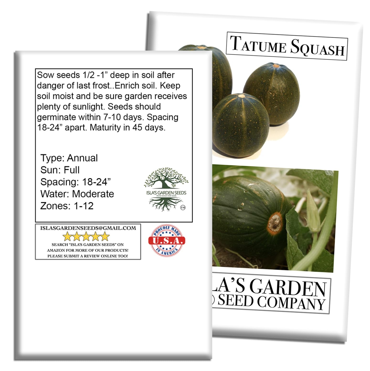 Tatume Squash Seeds (Cucurbita Pepo) – Also Known as Calabacita, Tatuma, or M…