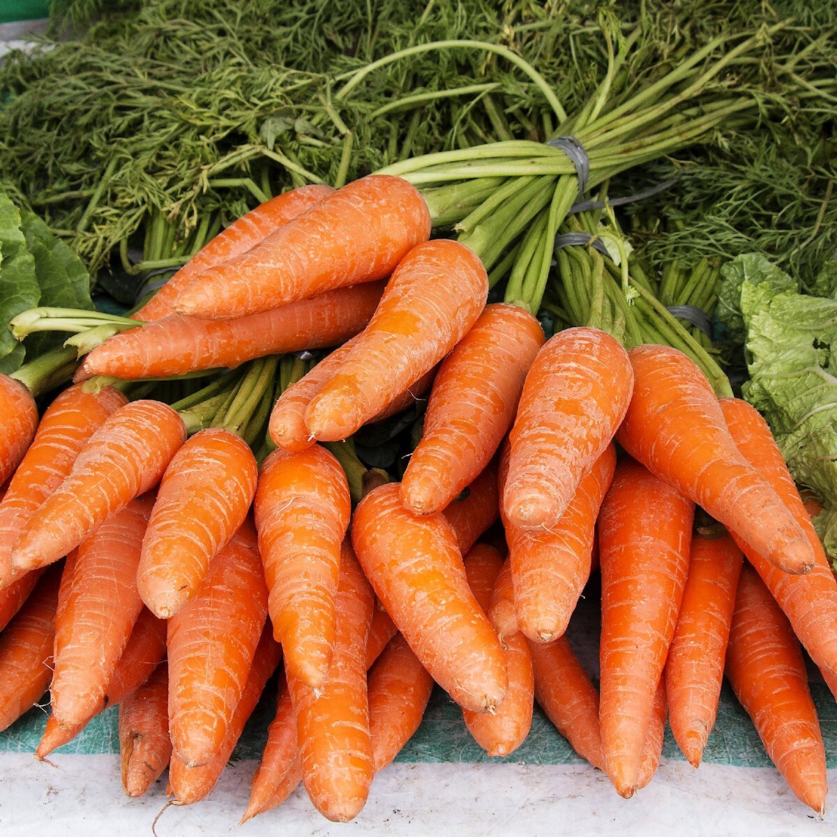 1 Lb Chantenay Royal Carrot Seeds – Everwilde Farms Mylar Seed Packet