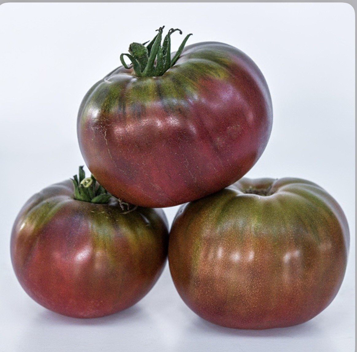 50 Tomato Black Krim Great Garden Heirloom Vegetable -| Non-GMO