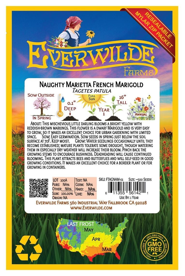 500 Naughty Marietta French Marigold Wildflower Seeds – Everwilde Farms Mylar
