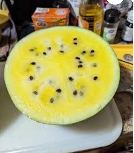 15 + Sweet Yellow Watermelon Seeds . Non GMO True To Color . Free Shipping