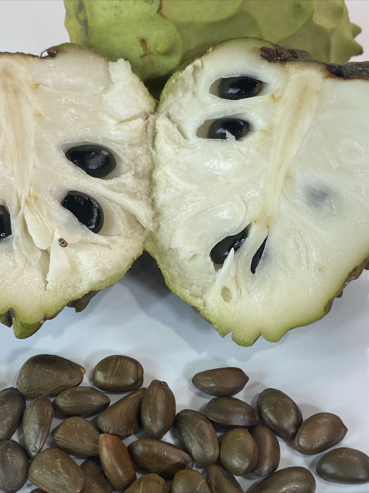 20 Seeds Brand New Fresh custard Sugar apple seeds / hột mãng cầu USA Seller
