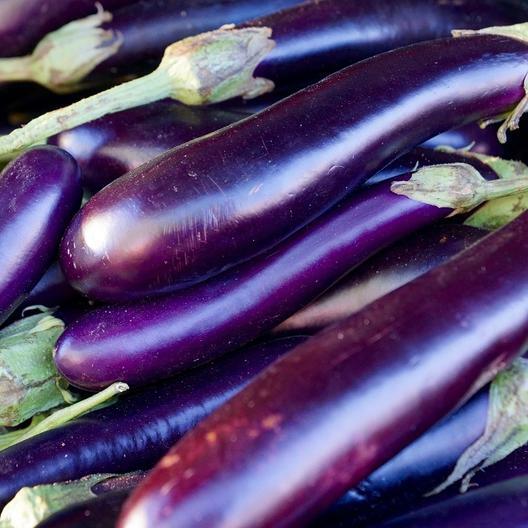 250 Long Purple Eggplant Seeds Heirloom – Non-GMO – Always Fresh Seeds!