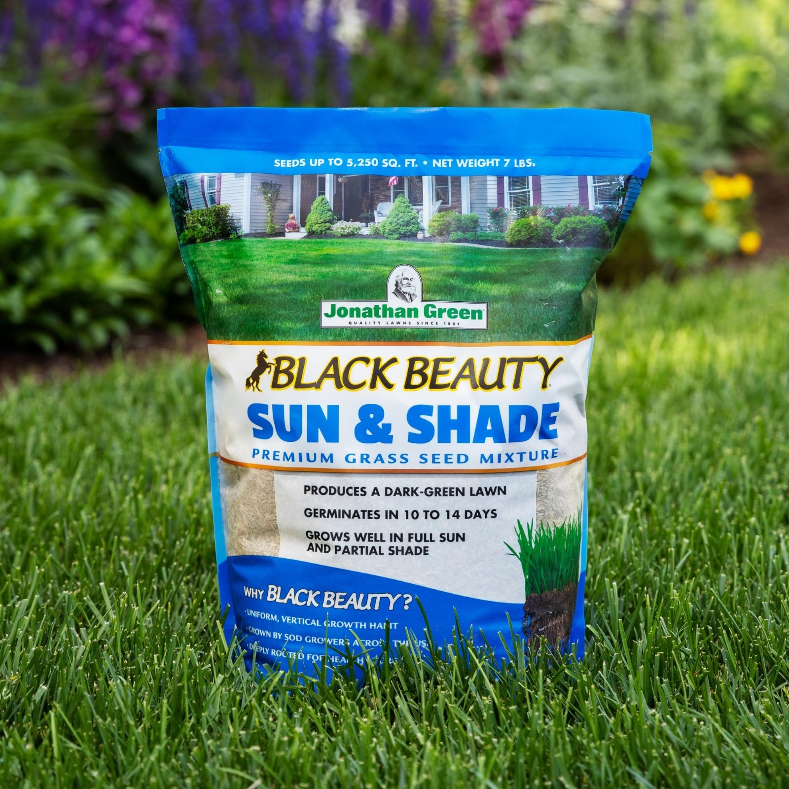 Premium Black Beauty Sun & Shade Grass Seed – Cool Season Lawn Seed 7 lb