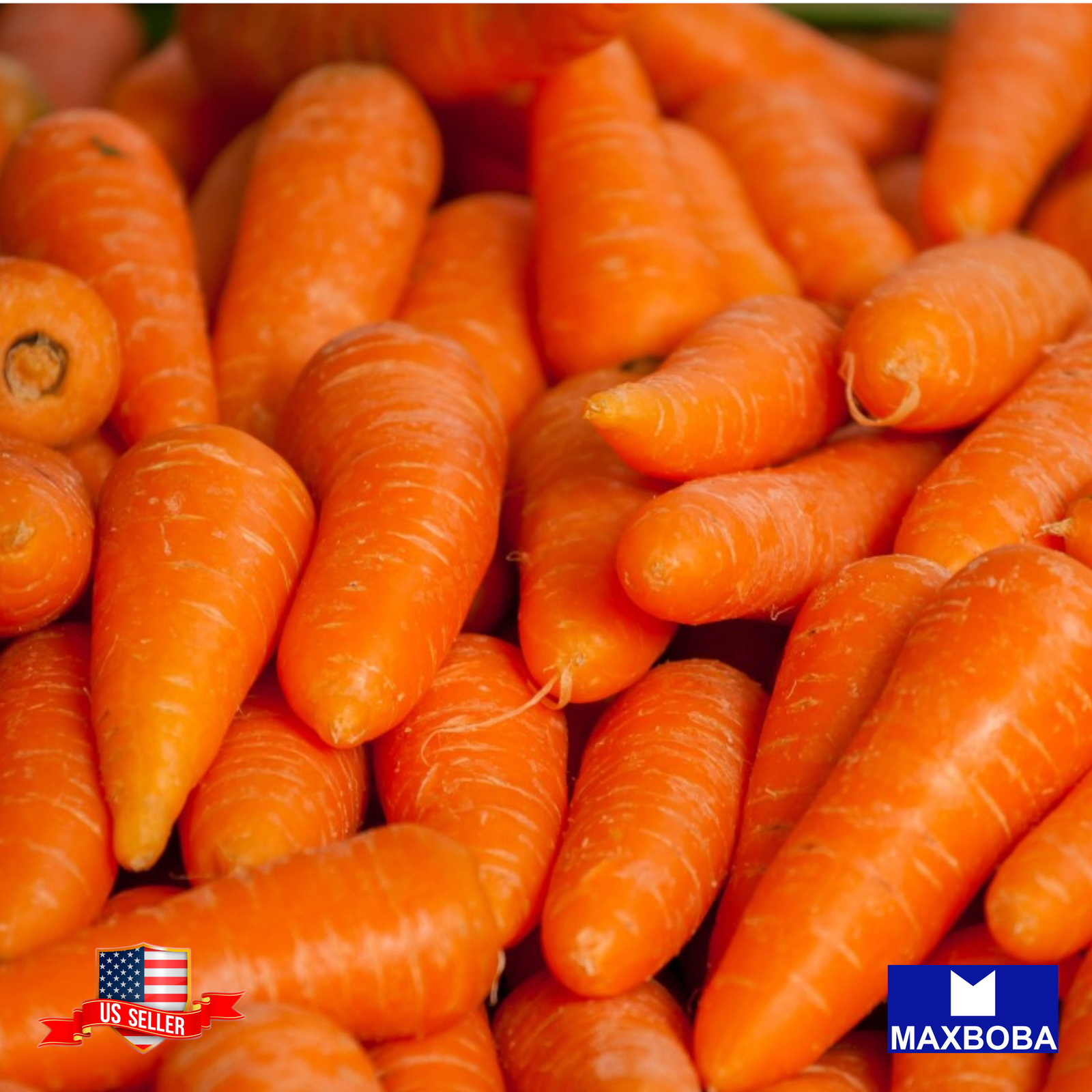1200+ Carrot Seed Little Fingers Organic Heirloom Vegetable Non-GMO BOGO 50% OFF