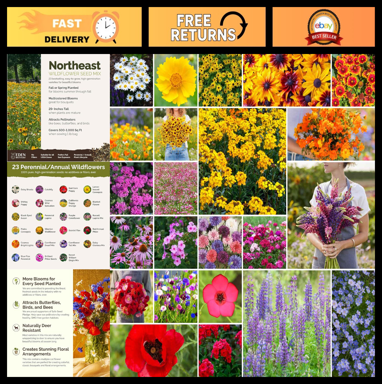 Northeast Wildflower Seed Mix – 1 lb, 480,000+ Seeds, Attracts Pollinators, Plan