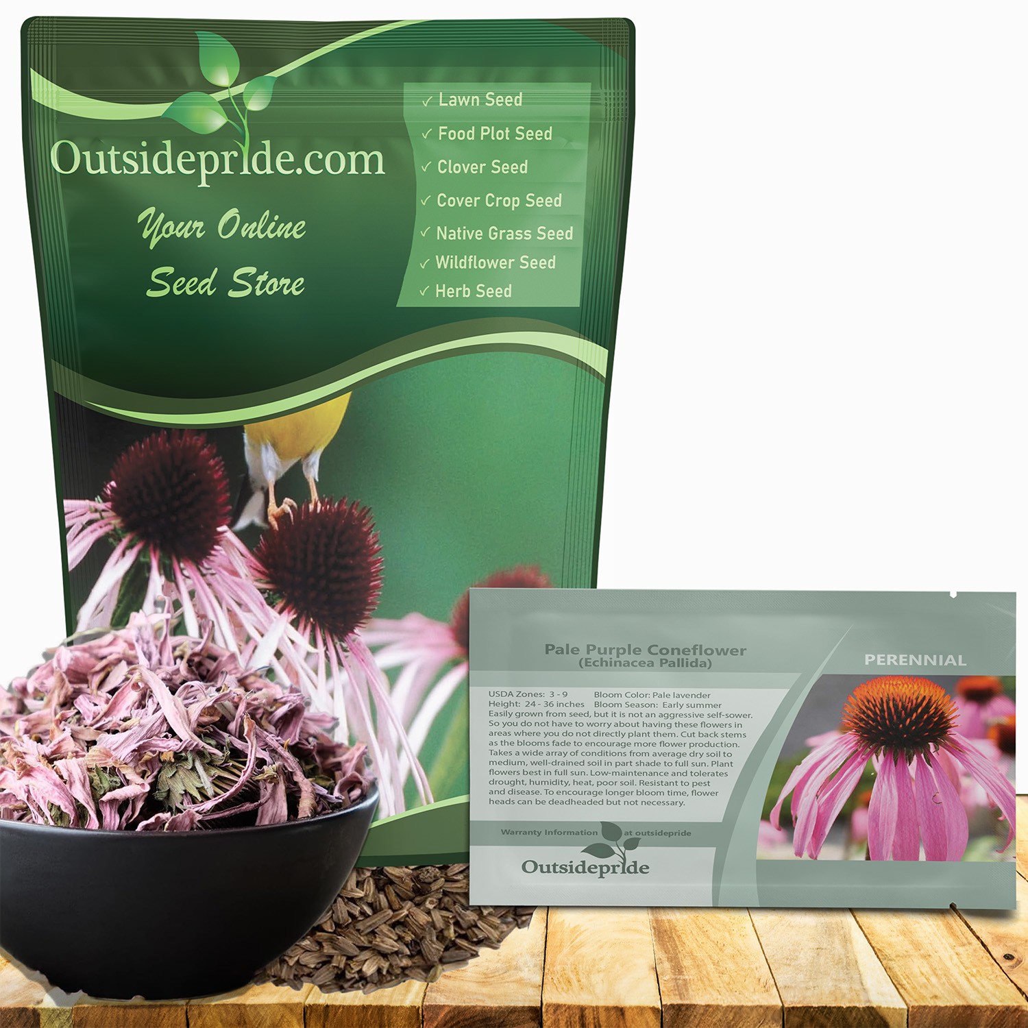 1000 Seeds Echinacea Pallida Drought Tolerant Pale Purple Coneflower Flower