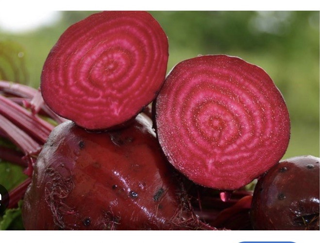 Detroit Dark Red Beet Seeds Heirloom, Non-GMO, 25 Pack