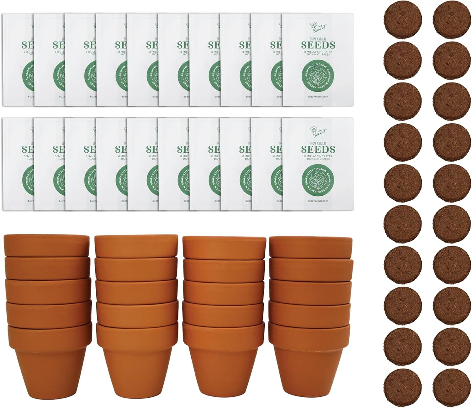 BUZZY Seeds Sunflower Grow Kit, Bulk 20-Pack – Mini Terracotta Pot Grow Set – Co