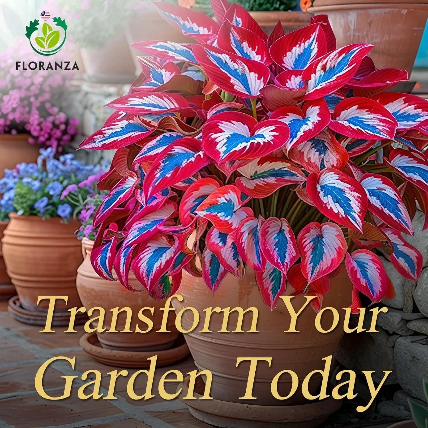 Hosta Seeds – 200 Rare White& Red Hosta with Blue Variations – Perennial Plants