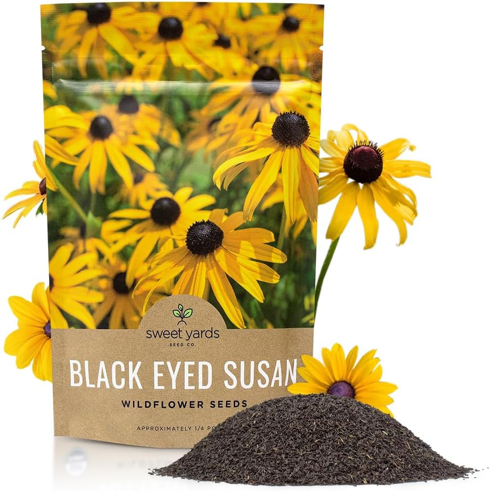 Black Eyed Susan – Bulk Quarter Pound Bag – over 400,000 Open Pollinated Non-Gm