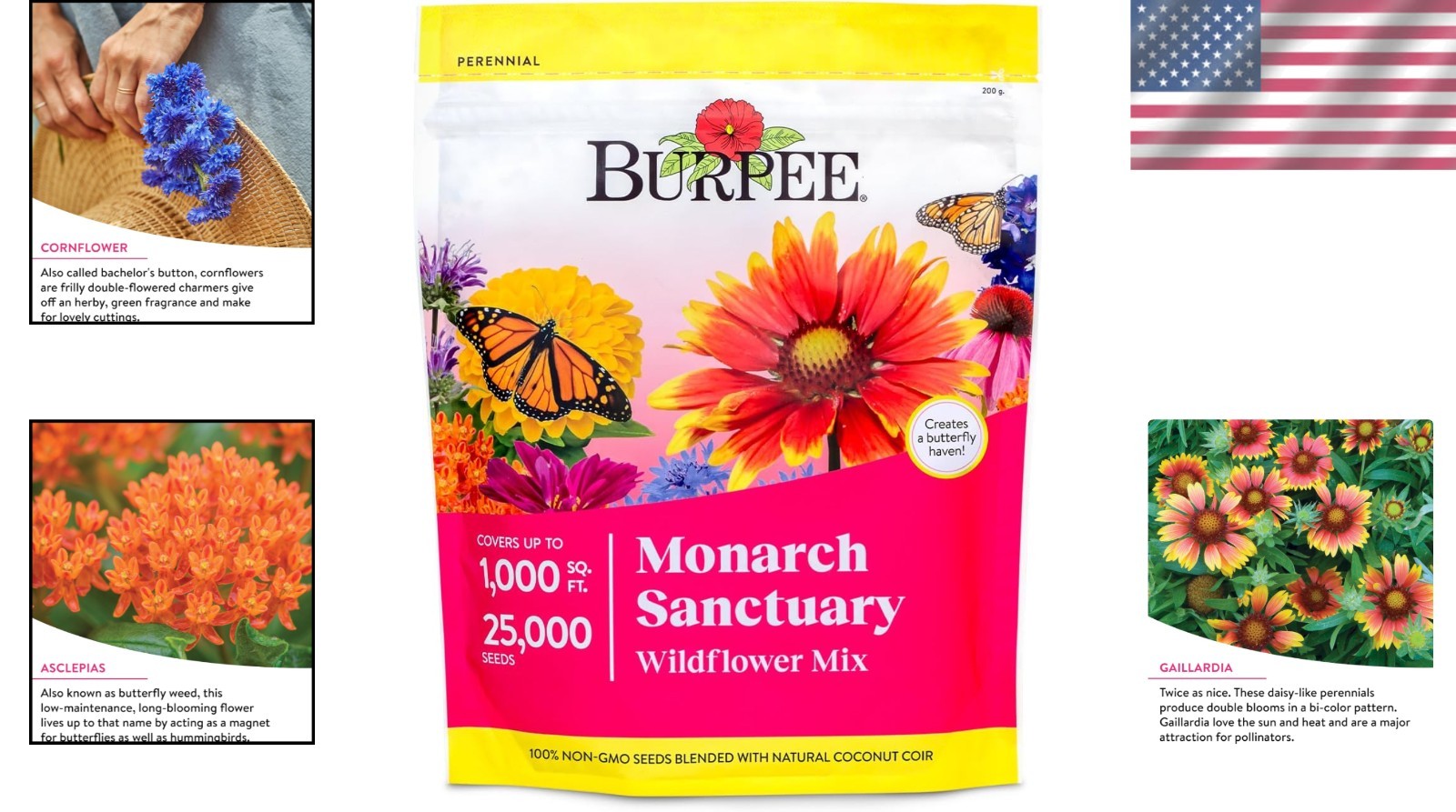 Monarch Sanctuary Seed Mix | 25,000 Pollinator Garden Seeds