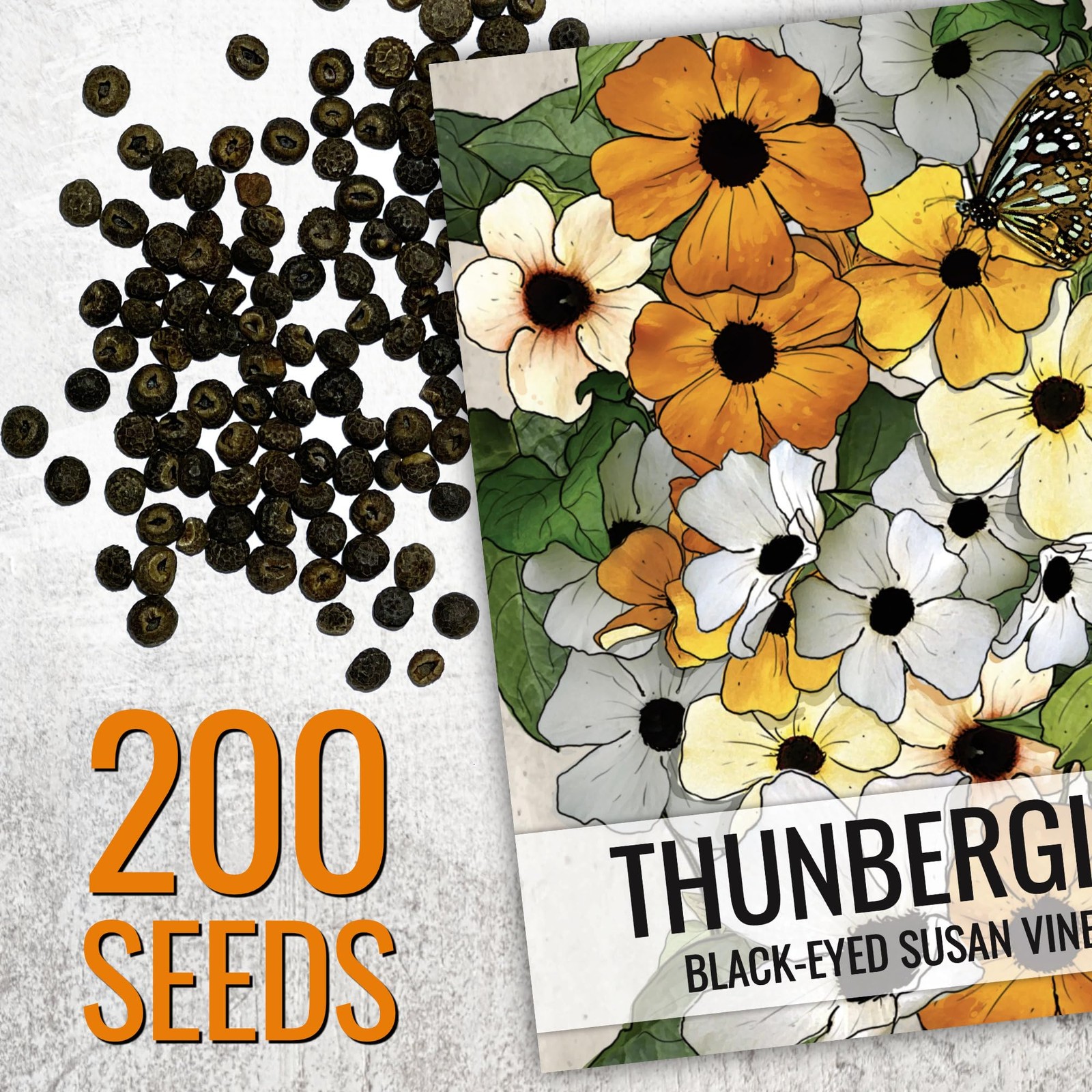 Seed Needs, Black-Eyed Susan Vine Seeds – 100 2 Packs (200 Seeds), Mixed