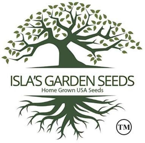 Candy Hybrid Onion Seeds (Allium cepa) – 50+ Non-GMO Seeds by Isla’s Garden