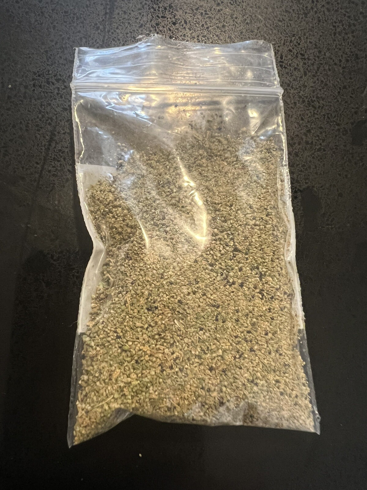 Epazote Seeds Chenopodium Ambrosoides – Dysphania ambrosioides SEMILLA EPAZOTE