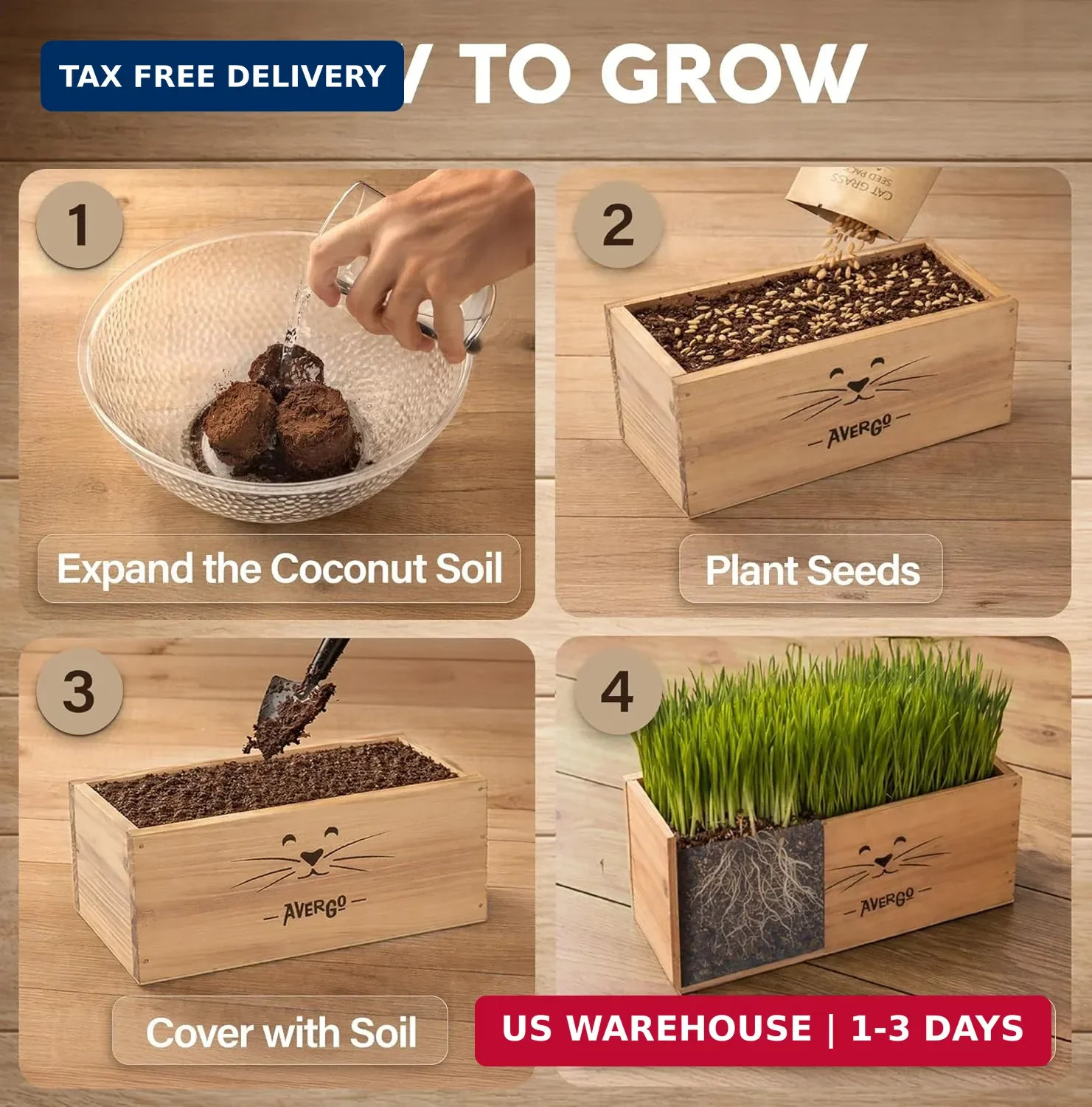 Cat Grass Kit for Indoor Cats – x4 Seed Packets | Cat Grass Seeds with Wooden Pl