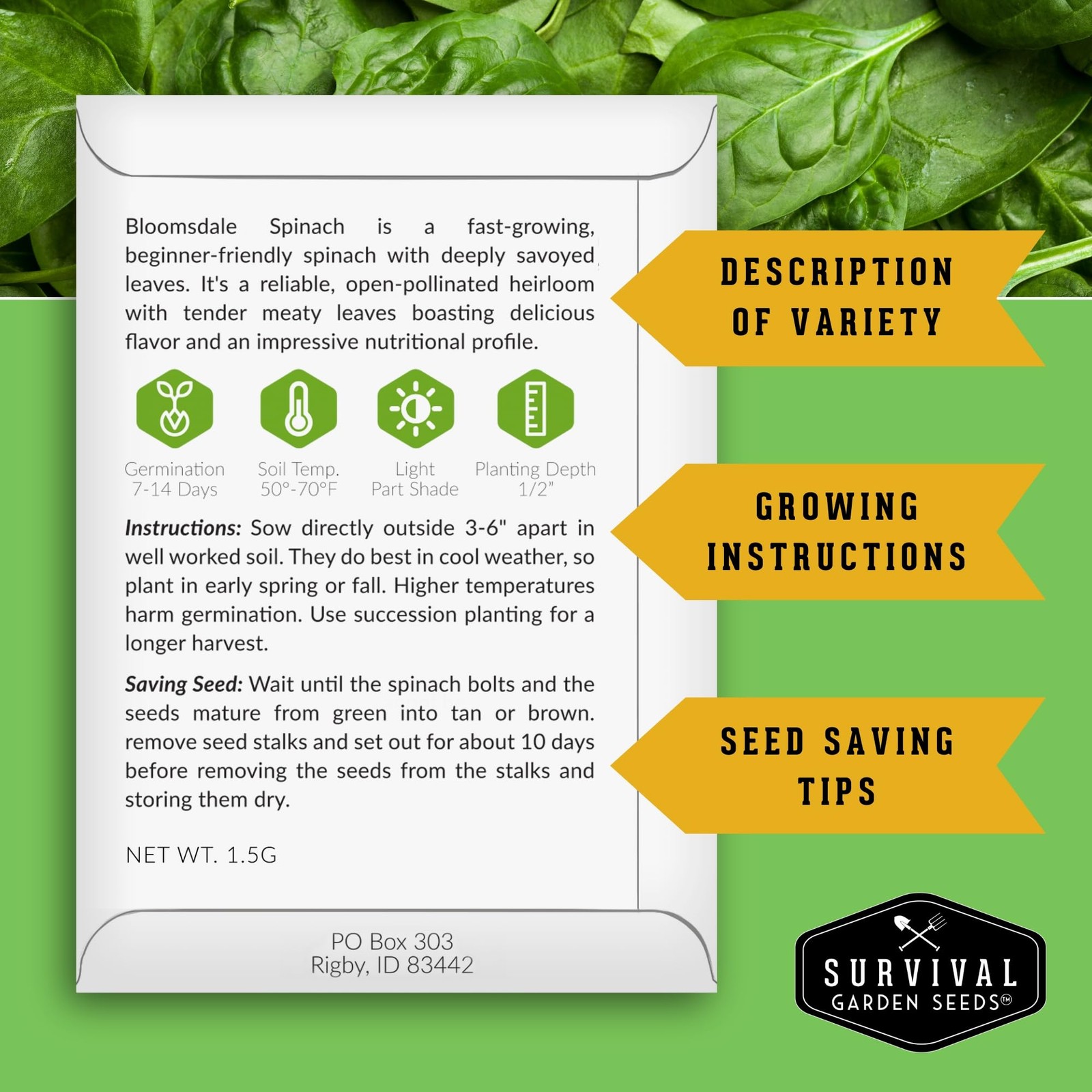 Spinach Seeds 3 Variety Heirloom Planting Pack NonGMO OpenPollinated Garden