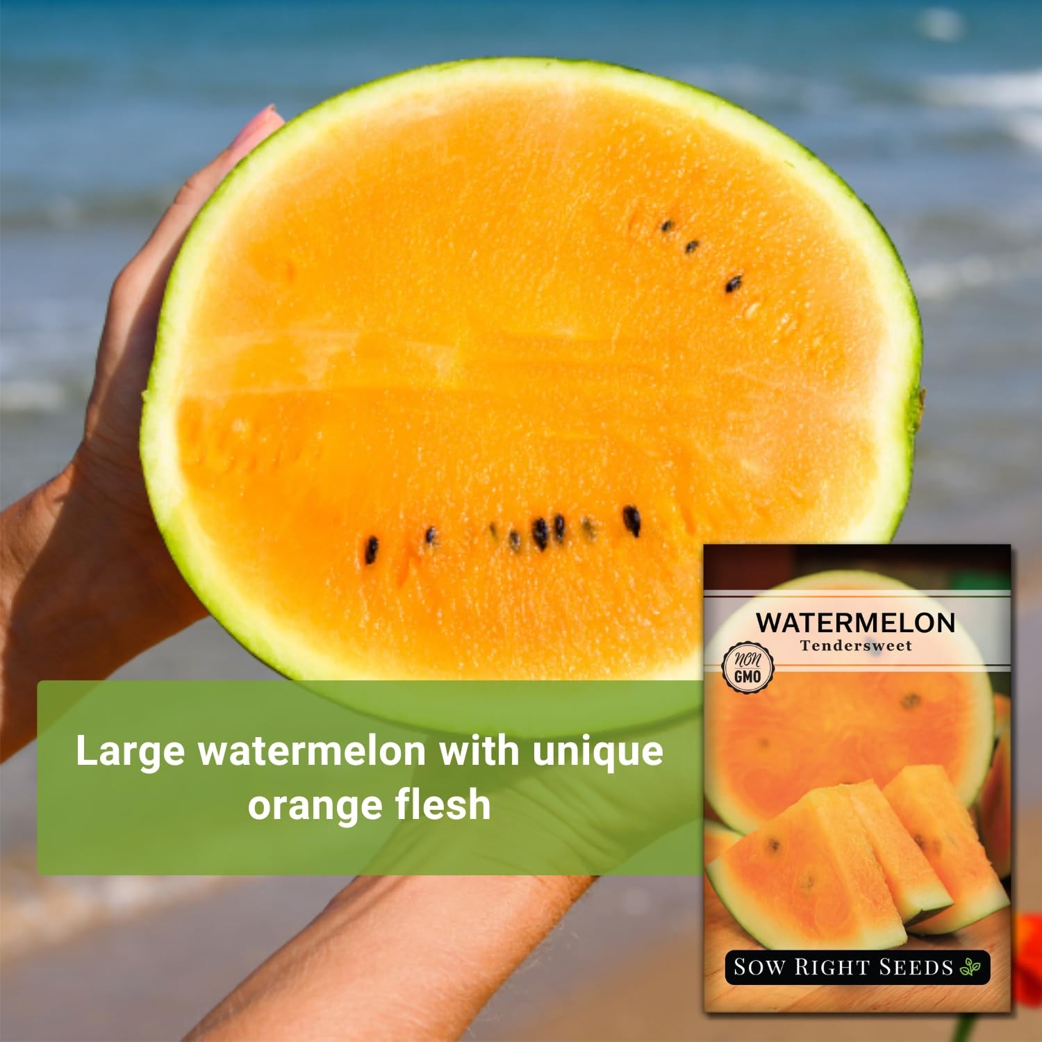 – Tendersweet Watermelon Seeds for Planting – Non-GMO Heirloom Seeds to Plant…