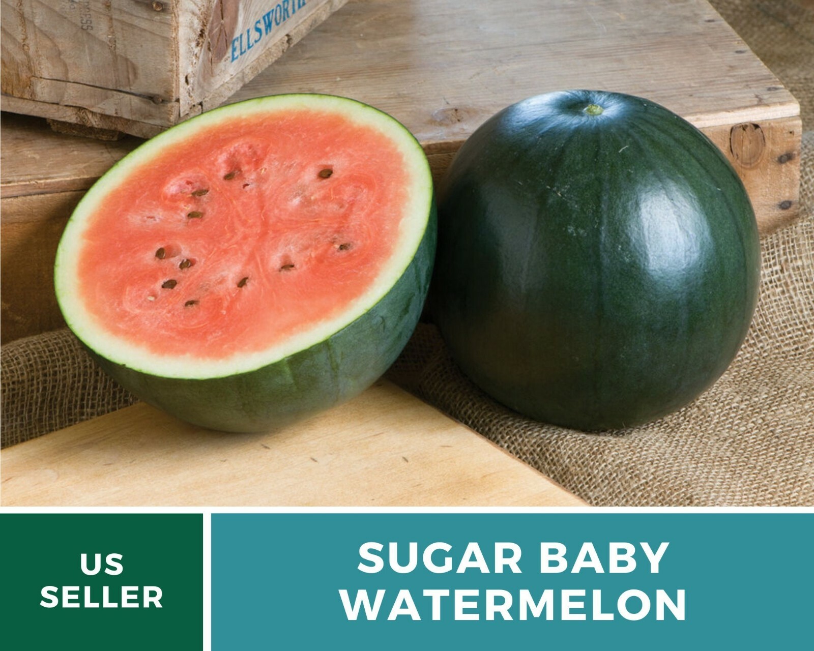 Watermelon, Sugar Baby – 25 Seeds – Heirloom – Open Pollinated – GMO Free (Citru
