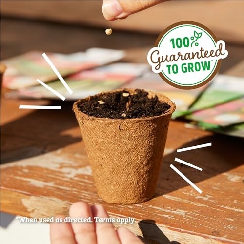 Heirloom Organic Non-GMO Seeds 30ct – Herb, Fruit & Veggie Assortment, Guarantee