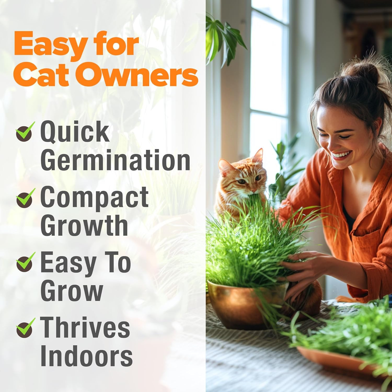 Organic Cat-Grass Seed Mix (Oat & Barley) – 4 Oz – Easy Indoor Planter