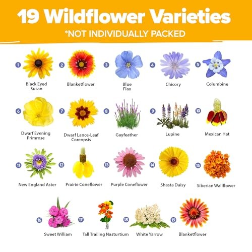 Wildflower Seeds Mix – 47,400+ Non-GMO – 19 1-Pack Wildflower Perennial Mix XL