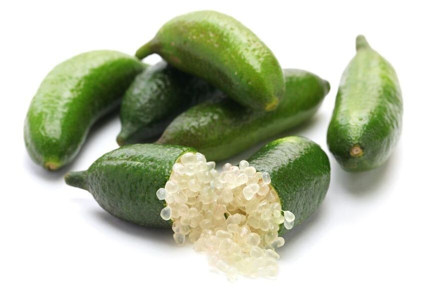 Rare Australian Finger Lime Semi-Dwarf- 3 cuttings , no roots
