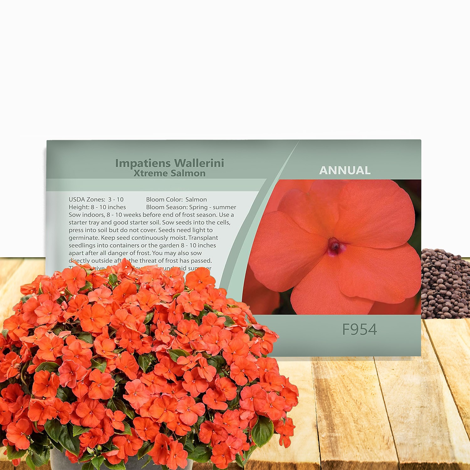 150 Seeds Impatiens Walleriani Xtreme Salmon 8 – 10 Inch Plants