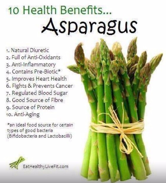 100 ASPARAGUS Seeds- MARY WASHINGTON-Non GMO-Open Pollinated.