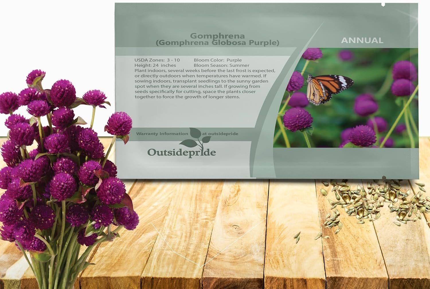 Versatile 1000 Count Purple Gomphrena Seeds – Perfect for Borders & Arrangements