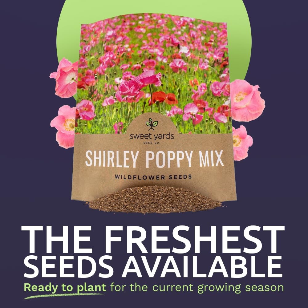 Mixed Color Shirley Poppy Seeds – 200,000 Non-GMO Open Pollinated Seeds