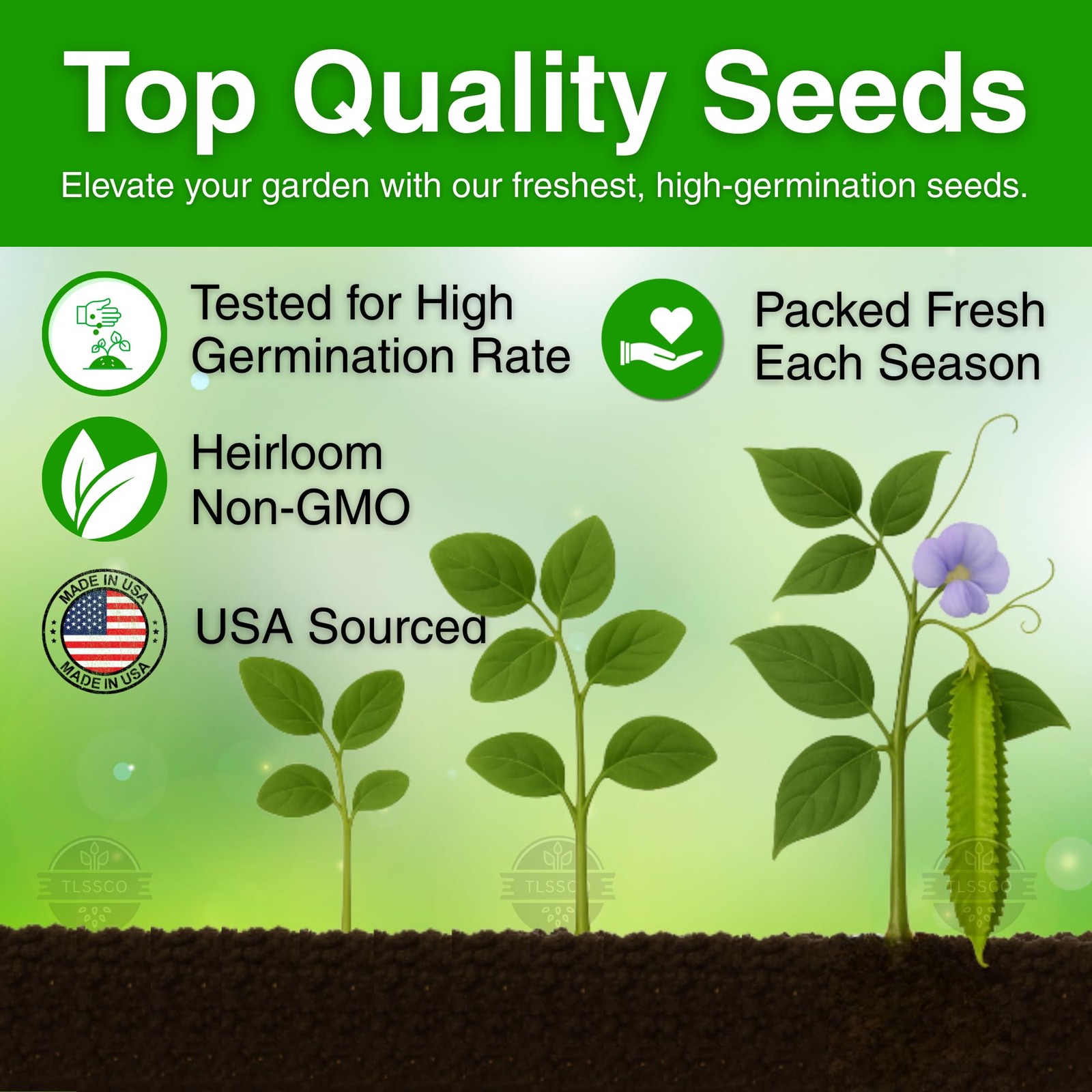 50+ USA Premium Winged Bean Seeds for Planting, Non-GMO Seeds – High-Yield, N…