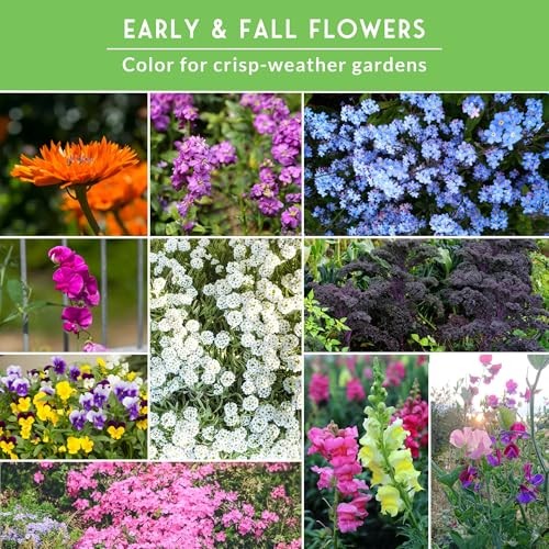 Cool Season Flower Seeds for Planting – 10 Variety Heirloom Ornamentals for