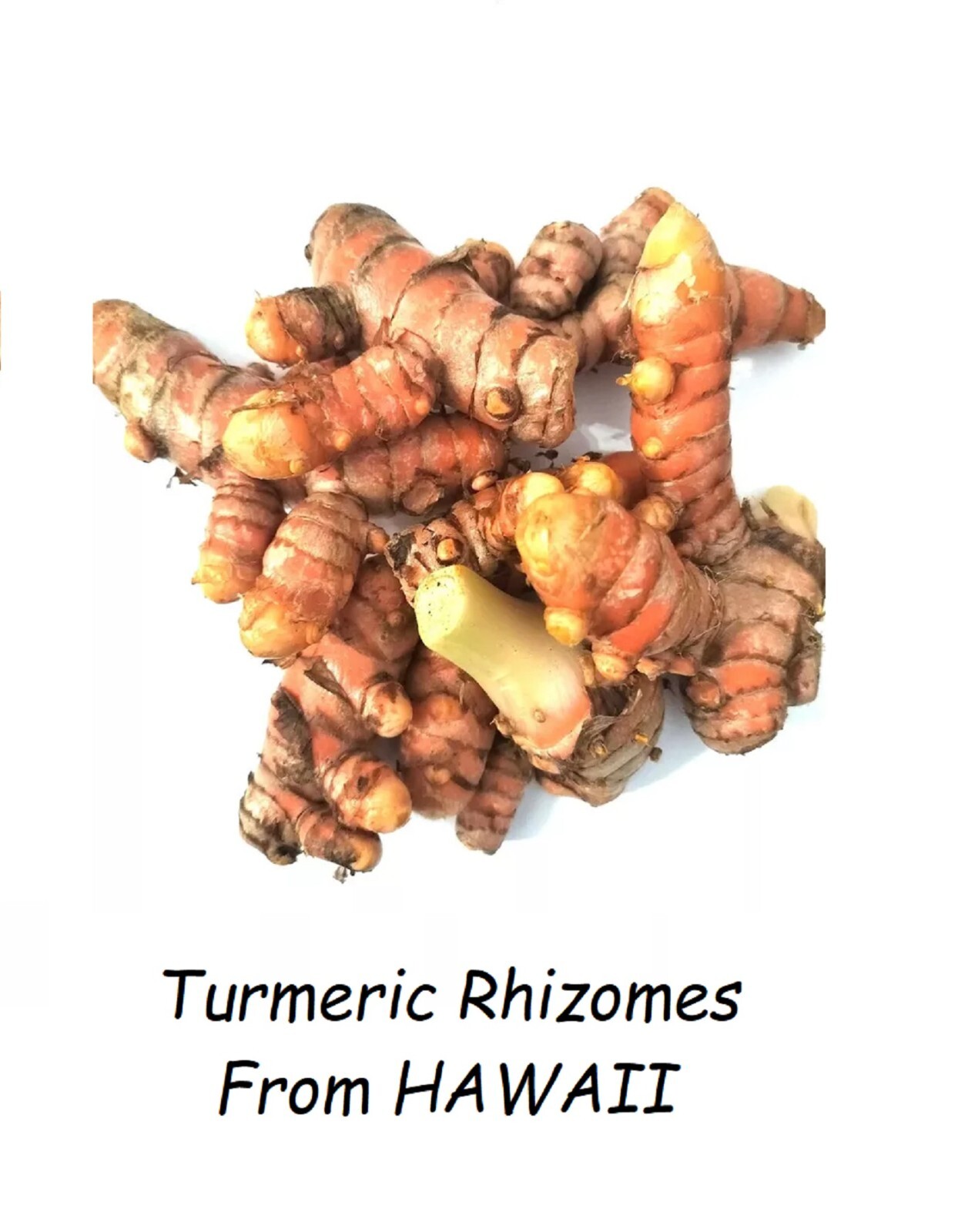 ~Organic Fresh Turmeric Root~ 2 lbs or more Ships & Grown in HAWAII not Florida