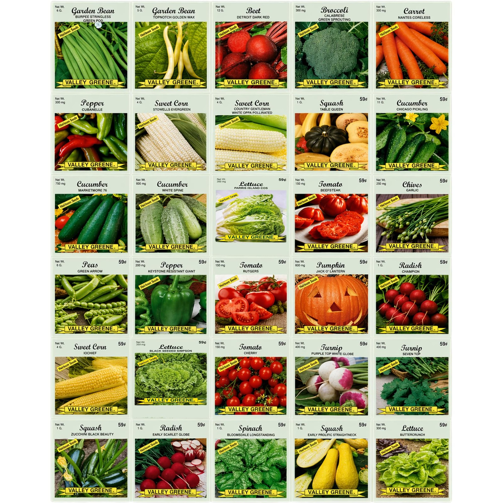 30 Packs of Deluxe Valley Greene Heirloom Vegetable Garden Seeds Non-GMO(Guar…