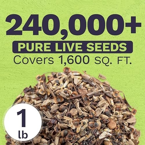 Texas Oklahoma Regional Mix Seeds – 1 lb Bulk – 240,000+ Non-GMO Native Seeds fo