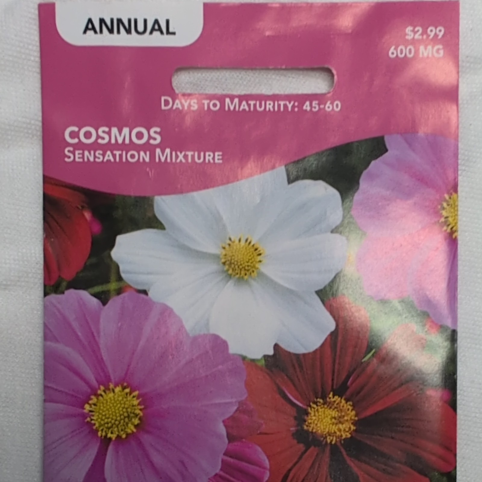 Livingston Cosmos Sensation Mixture Annual Multicolor Full Sun Outdoor Y1135